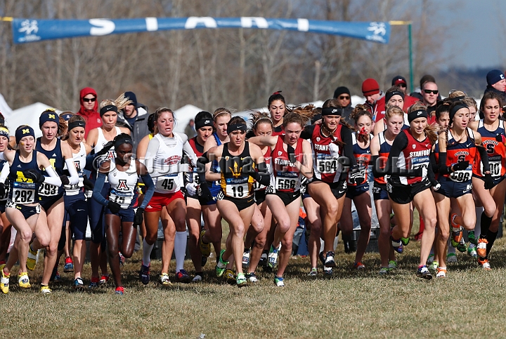 2013-NCAA-131.JPG - Nov 23, 2013; Terre Haute, IN, USA; NCAA cross country championships at LaVern Cross Country course, Terre Haute, IN.