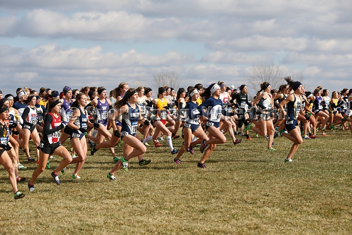 2013-NCAA-133.JPG - Nov 23, 2013; Terre Haute, IN, USA; NCAA cross country championships at LaVern Cross Country course, Terre Haute, IN.