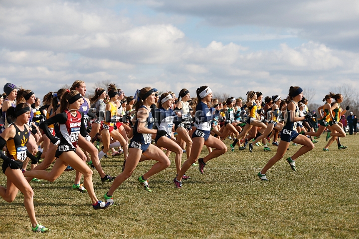 2013-NCAA-134.JPG - Nov 23, 2013; Terre Haute, IN, USA; NCAA cross country championships at LaVern Cross Country course, Terre Haute, IN.
