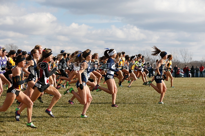 2013-NCAA-135.JPG - Nov 23, 2013; Terre Haute, IN, USA; NCAA cross country championships at LaVern Cross Country course, Terre Haute, IN.