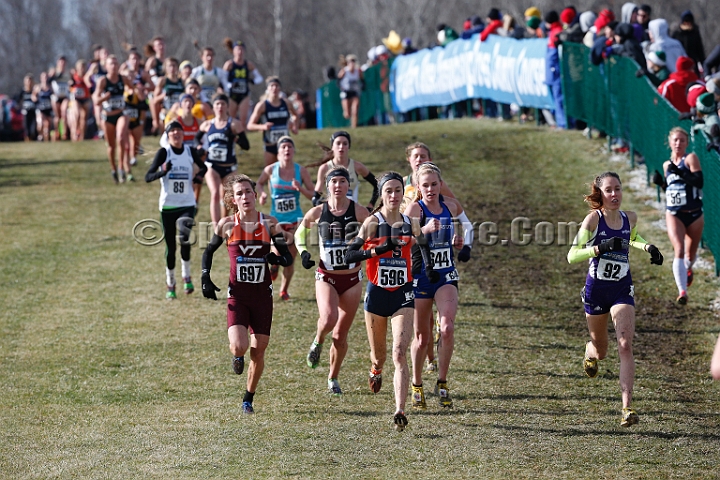 2013-NCAA-157.JPG - Nov 23, 2013; Terre Haute, IN, USA; NCAA cross country championships at LaVern Cross Country course, Terre Haute, IN.