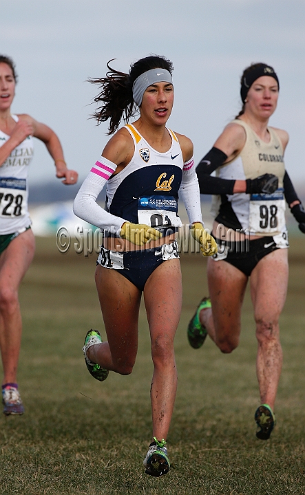2013-NCAA-169.JPG - Nov 23, 2013; Terre Haute, IN, USA; NCAA cross country championships at LaVern Cross Country course, Terre Haute, IN.