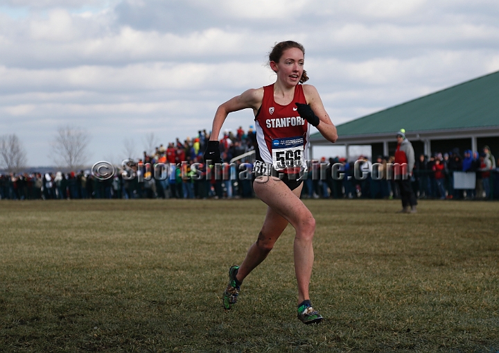 2013-NCAA-170.JPG - Nov 23, 2013; Terre Haute, IN, USA; NCAA cross country championships at LaVern Cross Country course, Terre Haute, IN.