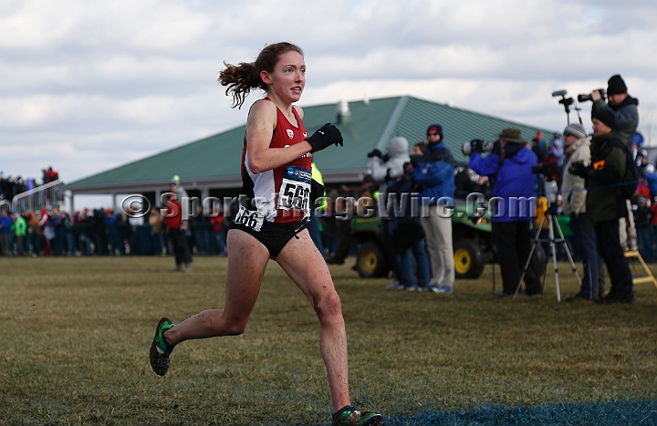 2013-NCAA-172.JPG - Nov 23, 2013; Terre Haute, IN, USA; NCAA cross country championships at LaVern Cross Country course, Terre Haute, IN.
