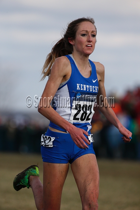 2013-NCAA-178.JPG - Nov 23, 2013; Terre Haute, IN, USA; NCAA cross country championships at LaVern Cross Country course, Terre Haute, IN.