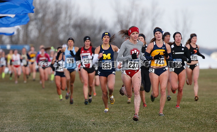 2013-NCAA-190.JPG - Nov 23, 2013; Terre Haute, IN, USA; NCAA cross country championships at LaVern Cross Country course, Terre Haute, IN.