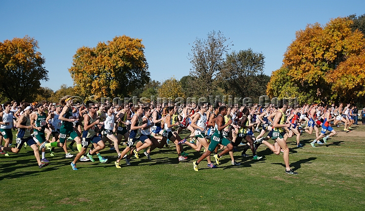 2013-NCAAXCWestSU-029.JPG - Nov 15, 2013; Sacramento, CA, USA; The NCAA D1 West Cross Country Regional at the Haggin Oaks Golf Course.
