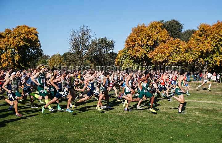 2013-NCAAXCWestSU-030.JPG - Nov 15, 2013; Sacramento, CA, USA; The NCAA D1 West Cross Country Regional at the Haggin Oaks Golf Course.