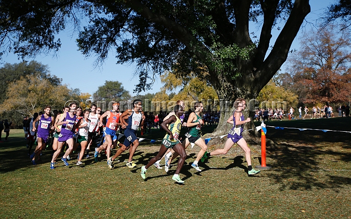 2013-NCAAXCWestSU-032.JPG - Nov 15, 2013; Sacramento, CA, USA; The NCAA D1 West Cross Country Regional at the Haggin Oaks Golf Course.