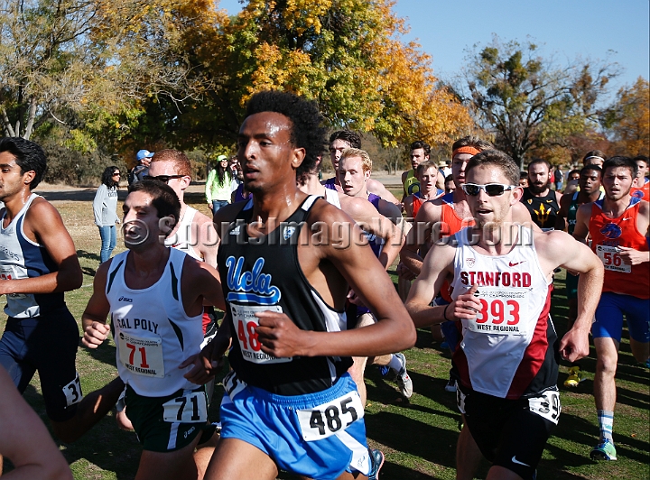 2013-NCAAXCWestSU-052.JPG - Nov 15, 2013; Sacramento, CA, USA; The NCAA D1 West Cross Country Regional at the Haggin Oaks Golf Course.