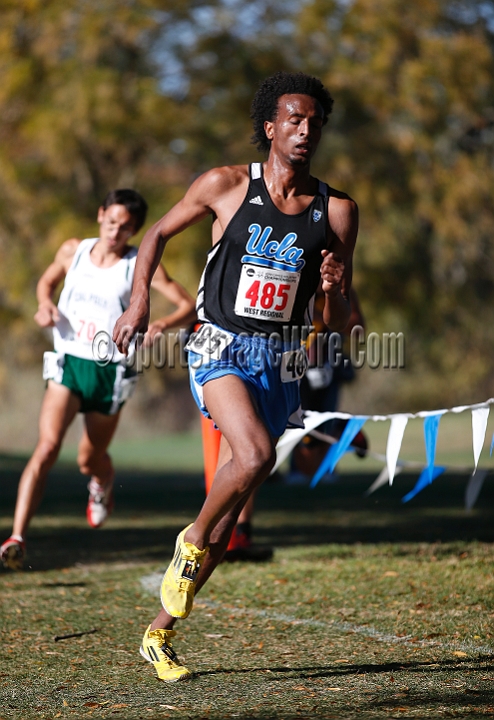 2013-NCAAXCWestSU-073.JPG - Nov 15, 2013; Sacramento, CA, USA; The NCAA D1 West Cross Country Regional at the Haggin Oaks Golf Course.