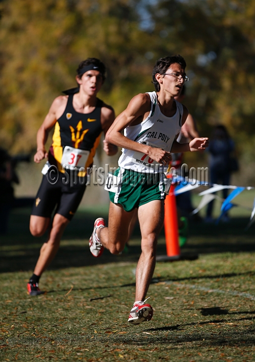 2013-NCAAXCWestSU-074.JPG - Nov 15, 2013; Sacramento, CA, USA; The NCAA D1 West Cross Country Regional at the Haggin Oaks Golf Course.