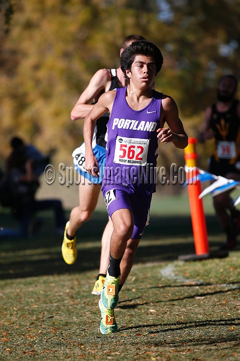 2013-NCAAXCWestSU-077.JPG - Nov 15, 2013; Sacramento, CA, USA; The NCAA D1 West Cross Country Regional at the Haggin Oaks Golf Course.