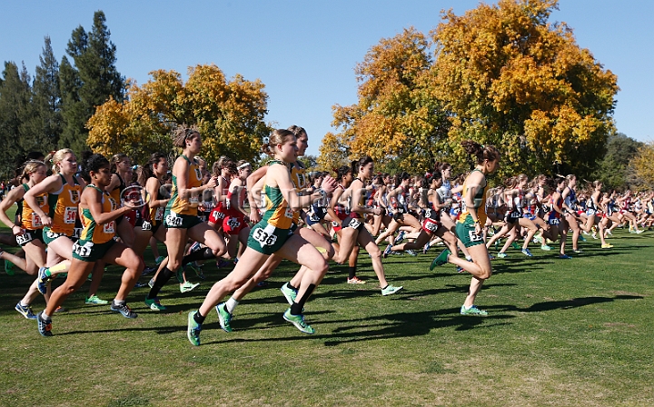 2013-NCAAXCWestSU-098.JPG - Nov 15, 2013; Sacramento, CA, USA; The NCAA D1 West Cross Country Regional at the Haggin Oaks Golf Course.