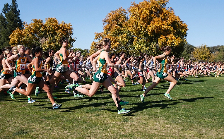 2013-NCAAXCWestSU-099.JPG - Nov 15, 2013; Sacramento, CA, USA; The NCAA D1 West Cross Country Regional at the Haggin Oaks Golf Course.