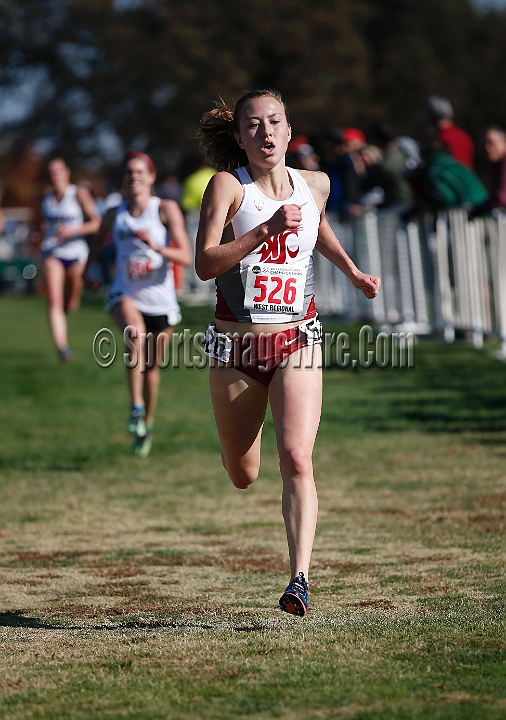 2013-NCAAXCWestSU-151.JPG - Nov 15, 2013; Sacramento, CA, USA; The NCAA D1 West Cross Country Regional at the Haggin Oaks Golf Course.