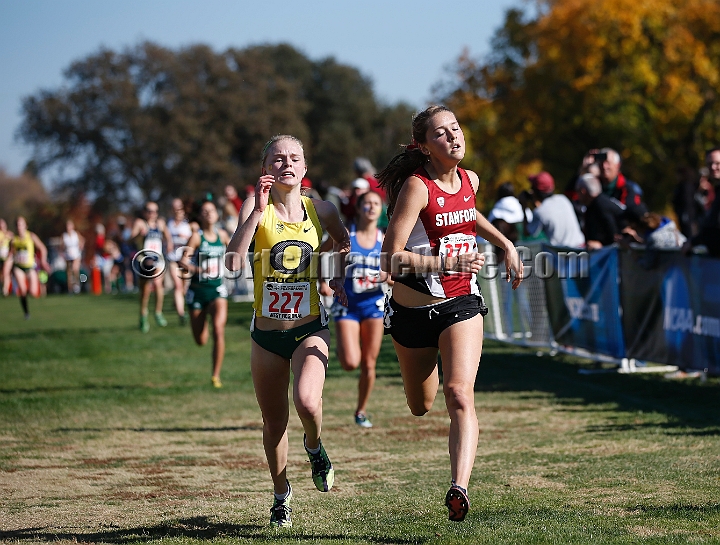 2013-NCAAXCWestSU-159.JPG - Nov 15, 2013; Sacramento, CA, USA; The NCAA D1 West Cross Country Regional at the Haggin Oaks Golf Course.