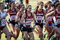 2013-NCAAXCWestSU-006