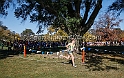 2013-NCAAXCWestSU-031