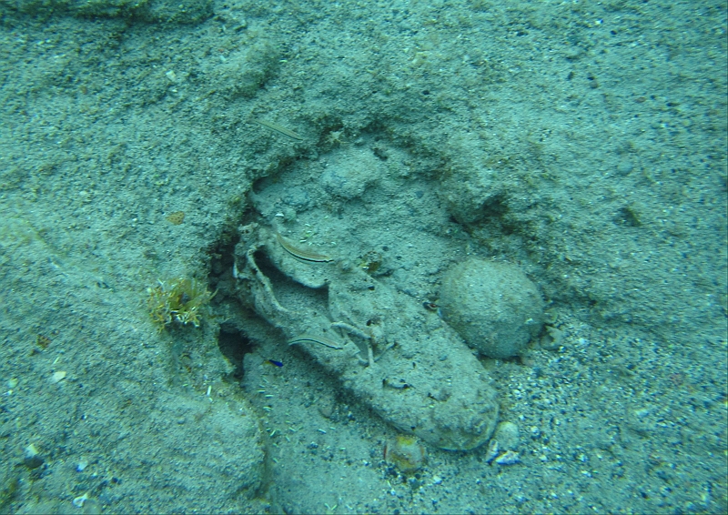 2013USVI-SFA-020.JPG