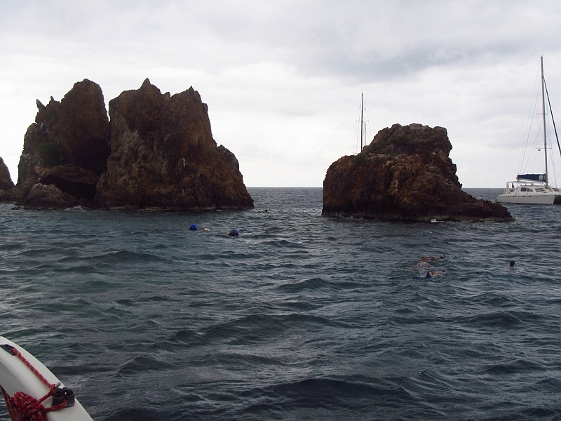2013USVI-SFA-032.JPG