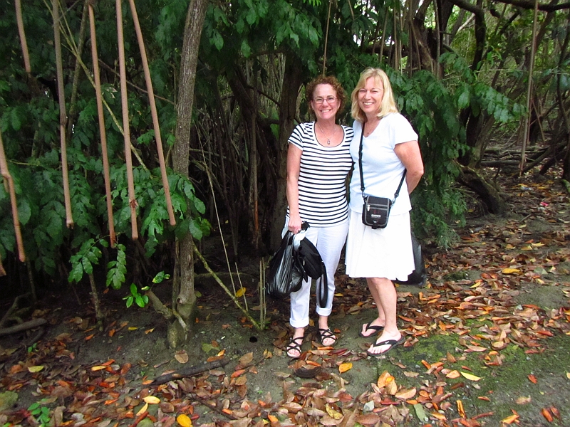 2013USVI-SFA-059.JPG
