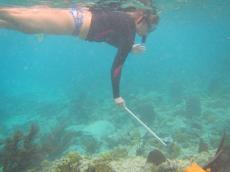 2013USVI-SFA-066.JPG