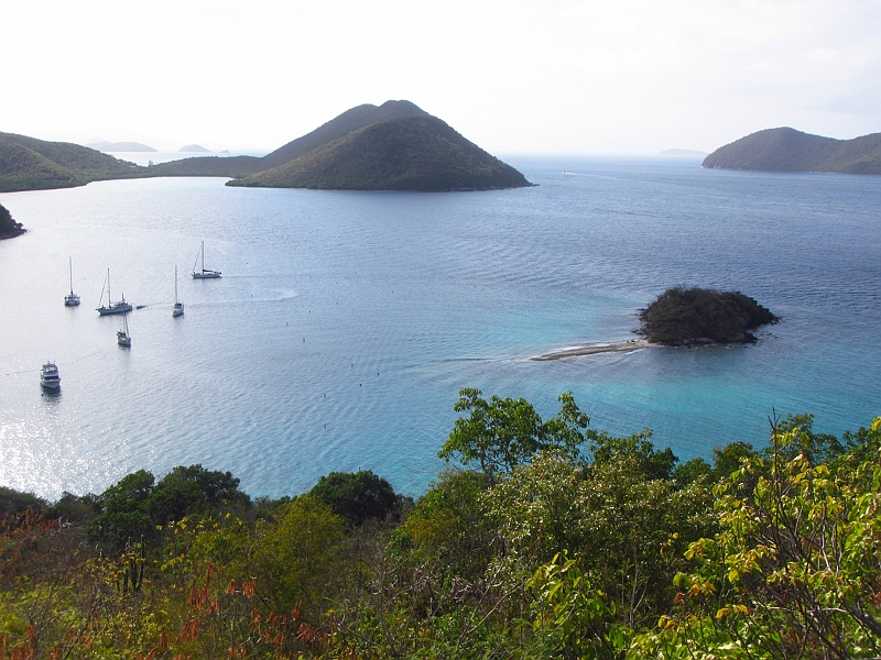 2013USVI-SFA-076.JPG