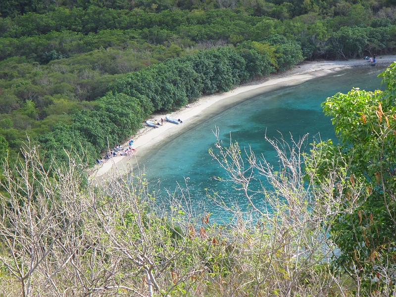 2013USVI-SFA-077.JPG