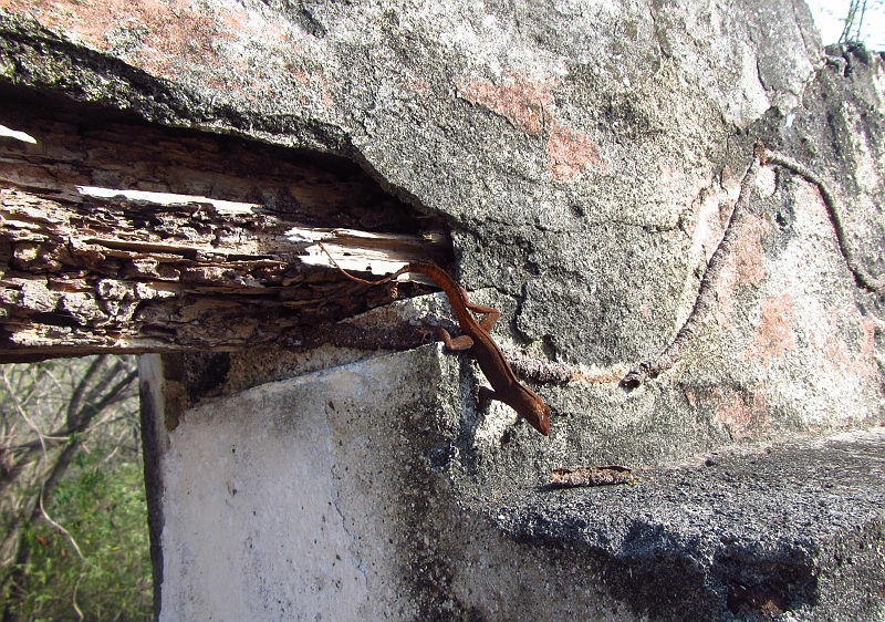 2013USVI-SFA-080.JPG