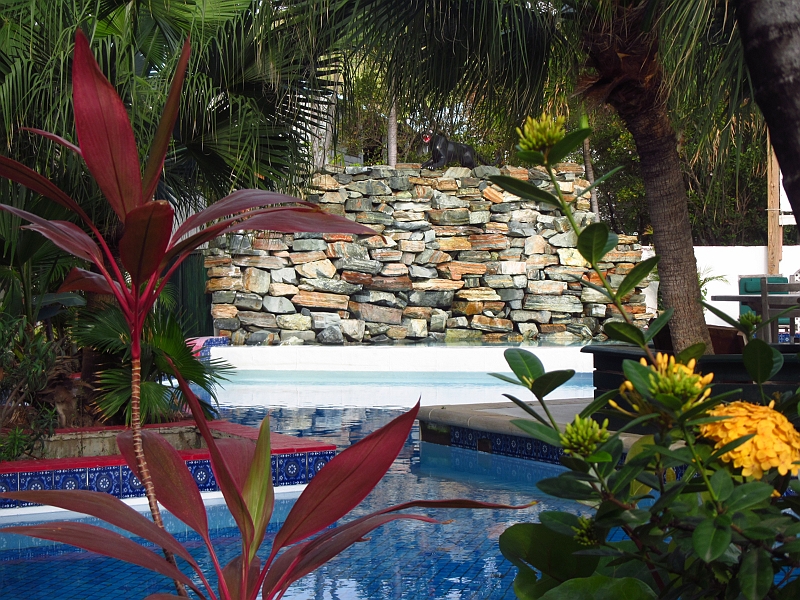 2013USVI-SFA-110.JPG
