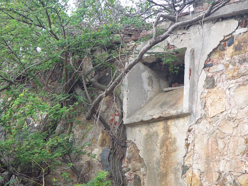 2013USVI-SFA-149.JPG