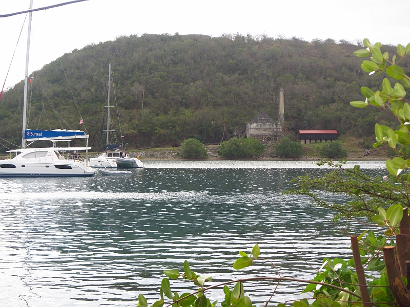 2013USVI-SFA-151.JPG