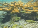 2013USVI-SFA-065