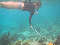 2013USVI-SFA-066