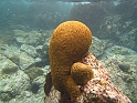 2013USVI-SFA-067