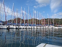 2013USVI-SFA-109
