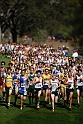 2013SIXCHS-061