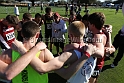 2013SIXCCOLL-008