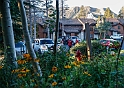 2013MammothXC-002