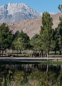 2013MammothXC-009