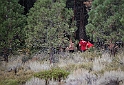 2013MammothXC-238