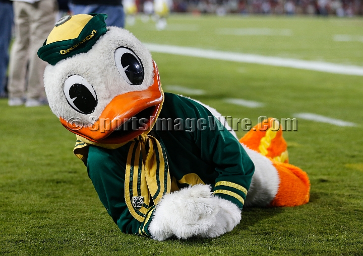 2013-Stanford-Oregon-026.JPG - Nov. 7, 2013; Stanford, CA, USA; Oregon Ducks mascot during game against the Stanford Cardinal at Stanford Stadium. Stanford defeated Oregon 26-20.
