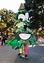2013Stanford-Wash-022