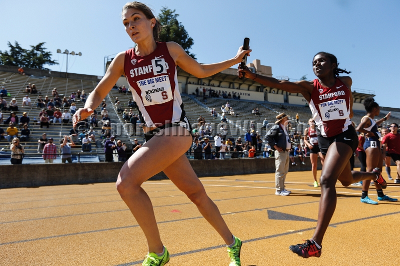 2014BigMeet-016.JPG - Apr 12, 2014; Berkeley, CA, USA; The 120th Stanford vs California Big Meet