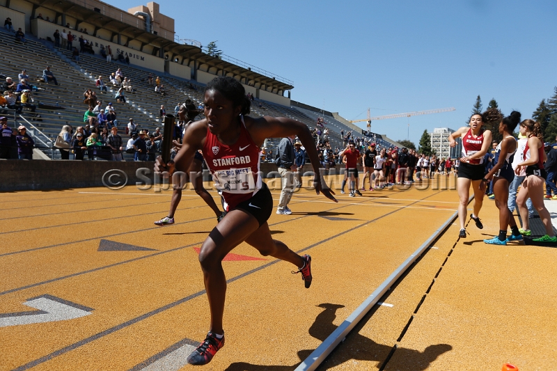 2014BigMeet-200.JPG - Apr 12, 2014; Berkeley, CA, USA; The 120th Stanford vs California Big Meet