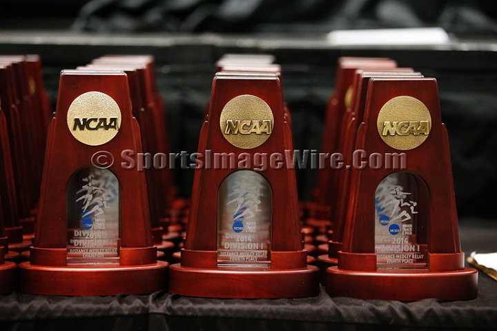 2014NCAAInDoorSat-162.JPG - Mar 13-14, 2014; NCAA Track and Field Indoor Championships, Albuquerque, NM, USA, Albuquerque Convention Center. 