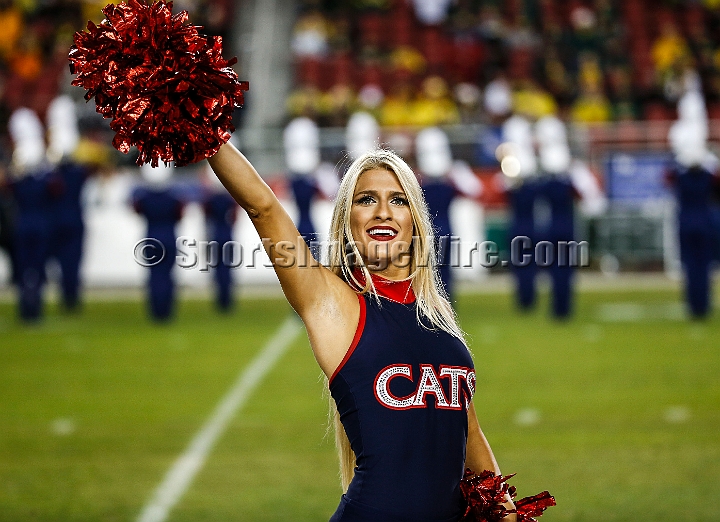 2014P12FB-006.JPG - Dec 5, 2014; Santa Clara, CA, USA; Arizona Wildcats against the Oregon Ducks before the Pac-12 Championship game at Levi's Stadium. Dec 5, 2014; Santa Clara, CA, USA; Oregon Ducks against the Arizona Wildcats before the Pac-12 Championship game at Levi's Stadium. 