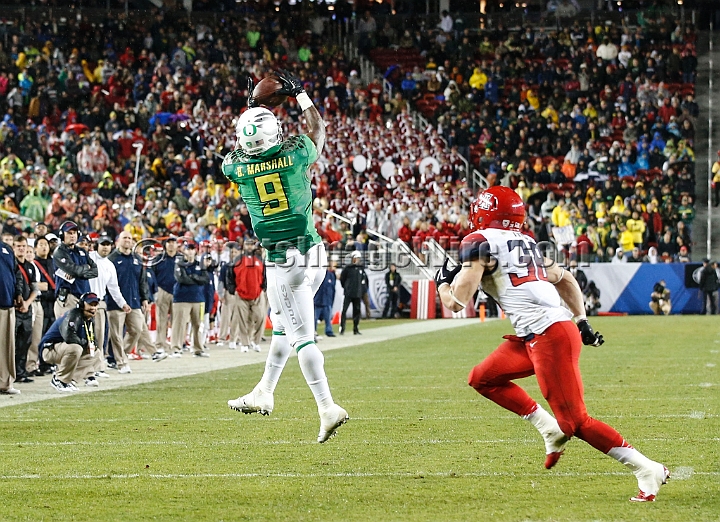 2014P12FB-024.JPG - Dec 5, 2014; Santa Clara, CA, USA; Arizona Wildcats against the Oregon Ducks before the Pac-12 Championship game at Levi's Stadium. Dec 5, 2014; Santa Clara, CA, USA; Oregon Ducks against the Arizona Wildcats before the Pac-12 Championship game at Levi's Stadium. 