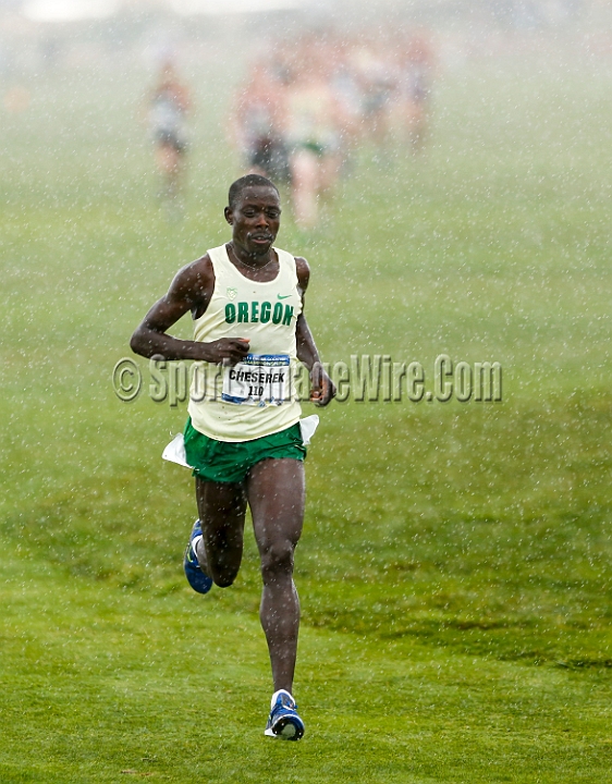 2014Pac-12XC-118.JPG - 2014 Pac-12 Cross Country Championships October 31, 2014, hosted by Cal at Metropolitan Golf Links, Oakland, CA.